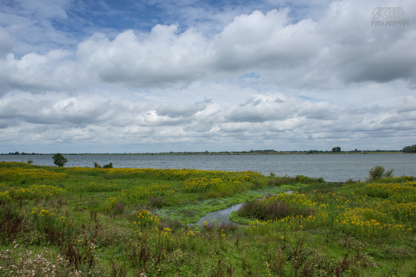 Tiengemeten Foto’s van een weekendje wandelen op het natuureilandje Tiengemeten in Noord-Holland. In 2006 werd Tiengemeten omgevormd van landbouwgrond naar natuur en nu staat het vol met wilde bloemen, zijn er vele wondermooie velden met gele guldenroede, grazen er semi-wilde Schotse hooglanders en zijn ook watervogels er talrijk. Stefan Cruysberghs